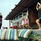 Gangehi Island Resort