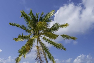 Furaveri Island Resort & Spa