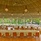 Dreamland -The Unique Sea & Lake Resort, Spa