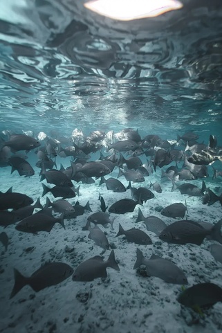 Meyyafushi Maldives