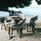 Crown Beach Hotel Seychelles