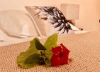 Bliss Hotel Praslin