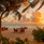 The Halcyon Private Isles Maldives, Autograph Collection (Ex.Raffles)