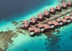 Coco Bodu Hithi