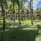 Sands Suites Resort & Spa