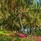 Baraza Resort & Spa 