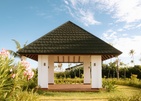 Joy Island By The Cocoon Collection