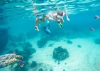 Cinnamon Velifushi Maldives Сноркелинг На Мальдивах