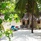 Kuredu Island