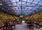 One&Only Reethi Rah