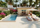 Joy Island By The Cocoon Collection