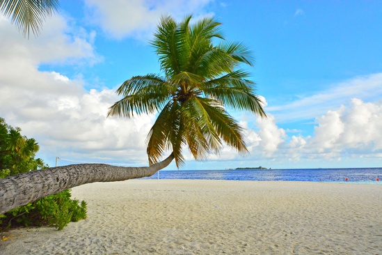 Fihalhohi Maldives