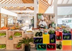 Joy Island By The Cocoon Collection