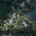 Banyan Tree Phuket