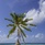 Furaveri Island Resort & Spa