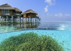 Outrigger Maldives Maafushivaru Resort