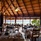 Gangehi Island Resort