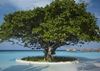 Dusit Thani Maldives