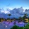 Nh Collection Maldives Havodda Resort (Ex.Amari Havodda Maldives)