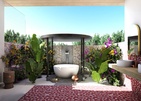 Joy Island By The Cocoon Collection