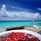 Centara Ras Fushi Resort & Spa Maldives