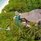 Soneva Fushi