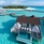 The Standard Maldives By Hyatt