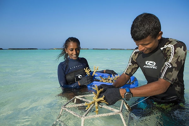 Niva Kurumba Maldives