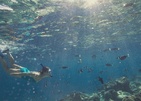 Niva Kurumba Maldives