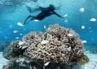 Four Seasons Resort Maldives At Landaa Giraavaru