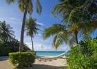Ozen Reserve Bolifushi