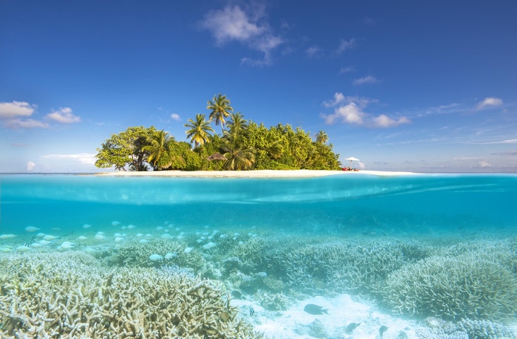 W Maldives