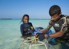 Niva Kurumba Maldives