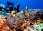 Eri Maldives (Ex. Eriyadu Island Resort)