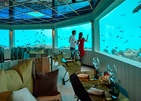 Ozen Life Maadhoo