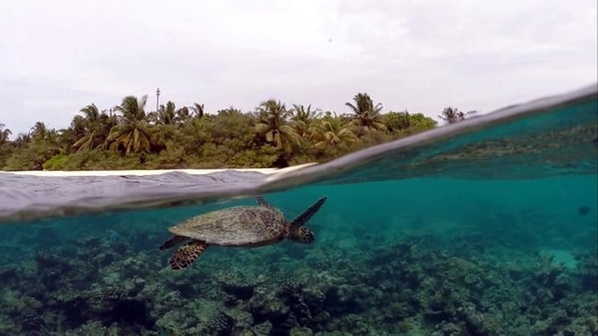 Eri Maldives (Ex. Eriyadu Island Resort)