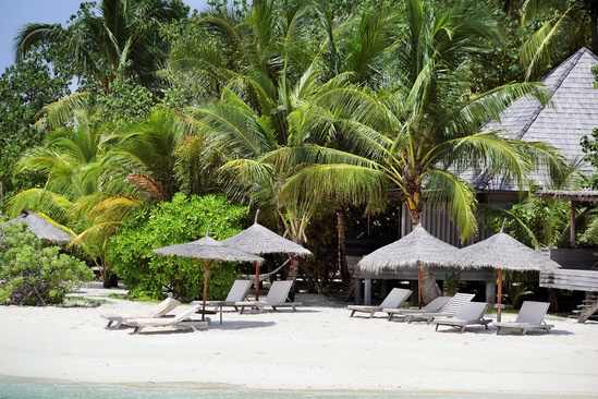 Gangehi Island Resort