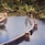 Raffles Seychelles