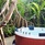 Nh Collection Maldives Havodda Resort (Ex.Amari Havodda Maldives)