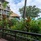 Coral Strand Smart Choice