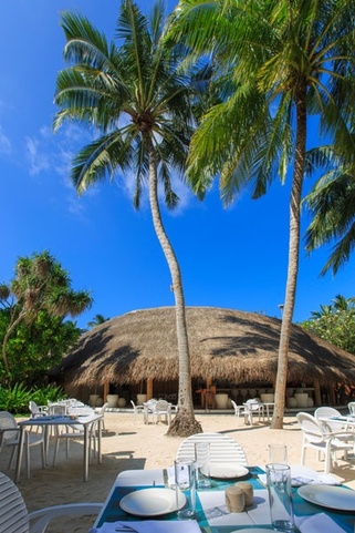 Niva Kuramathi Maldives