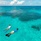 Alphonse Island Resort