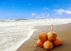 Coco Royal Beach Resort