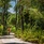 Four Seasons Resort Maldives At Landaa Giraavaru