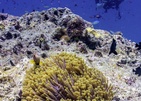 Robinson Club Noonu