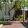 Malisa Villa Suites