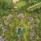 Dinarobin Beachcomber Golf Resort & Spa