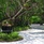Ozen Reserve Bolifushi