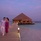 Vilamendhoo Maldives Resort Island