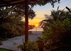 Malahini Kuda Bandos